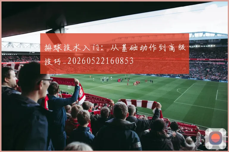 排球技术入门:从基础动作到高级技巧_20260522160853