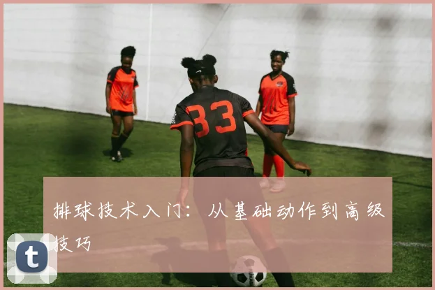 排球技术入门:从基础动作到高级技巧