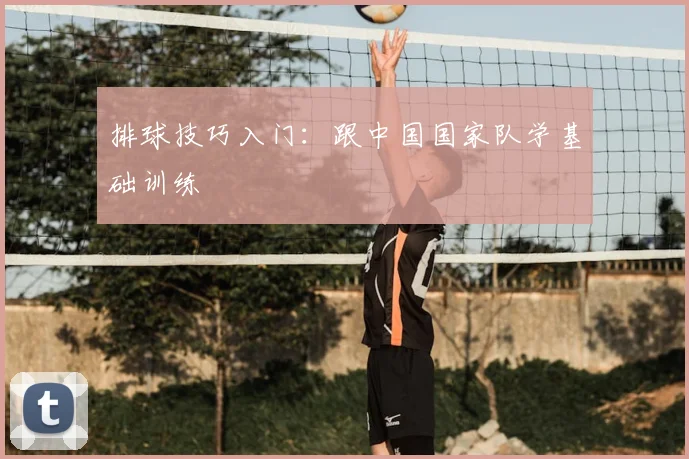 排球技巧入门：跟中国国家队学基础训练